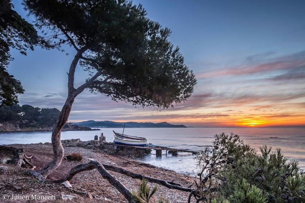 Les Hibiscus Daire Saint-Mandrier-sur-Mer Dış mekan fotoğraf