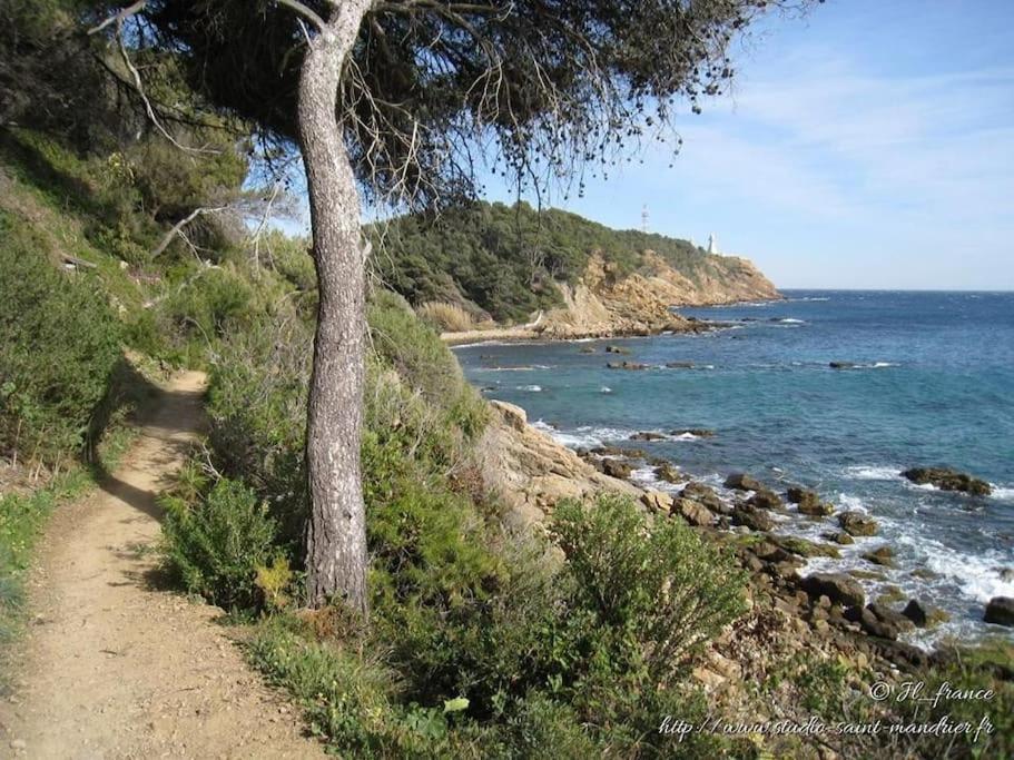 Les Hibiscus Daire Saint-Mandrier-sur-Mer Dış mekan fotoğraf