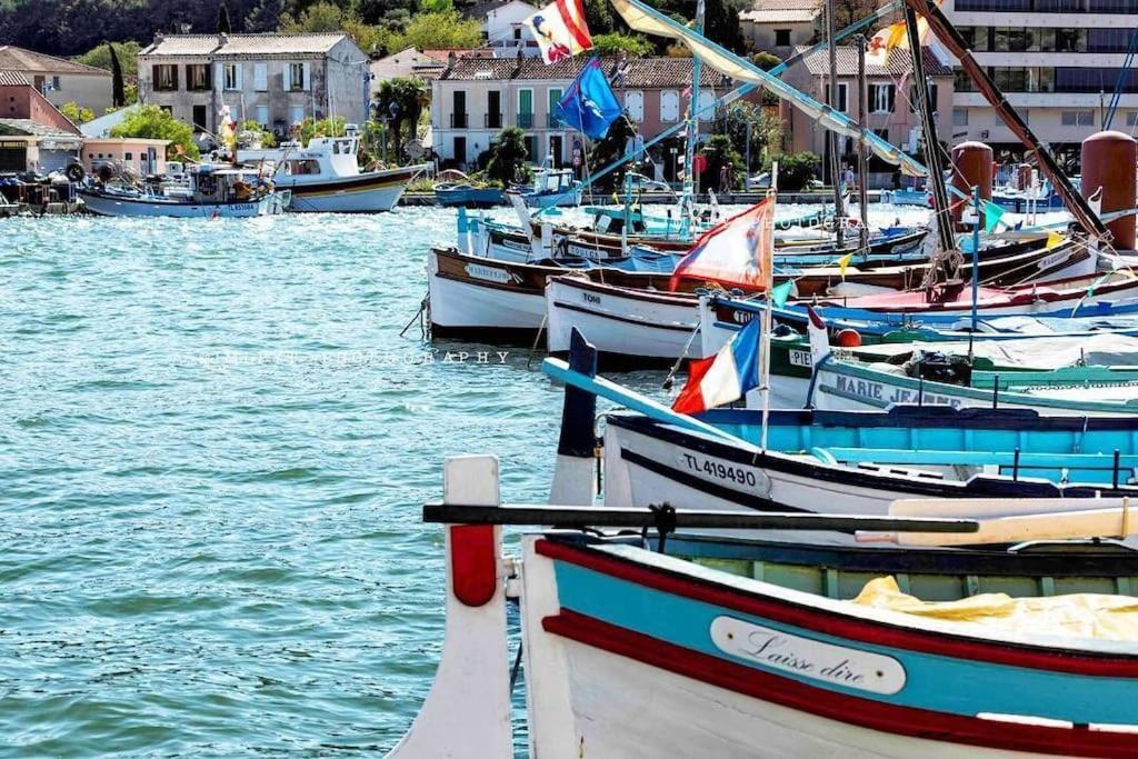 Les Hibiscus Daire Saint-Mandrier-sur-Mer Dış mekan fotoğraf